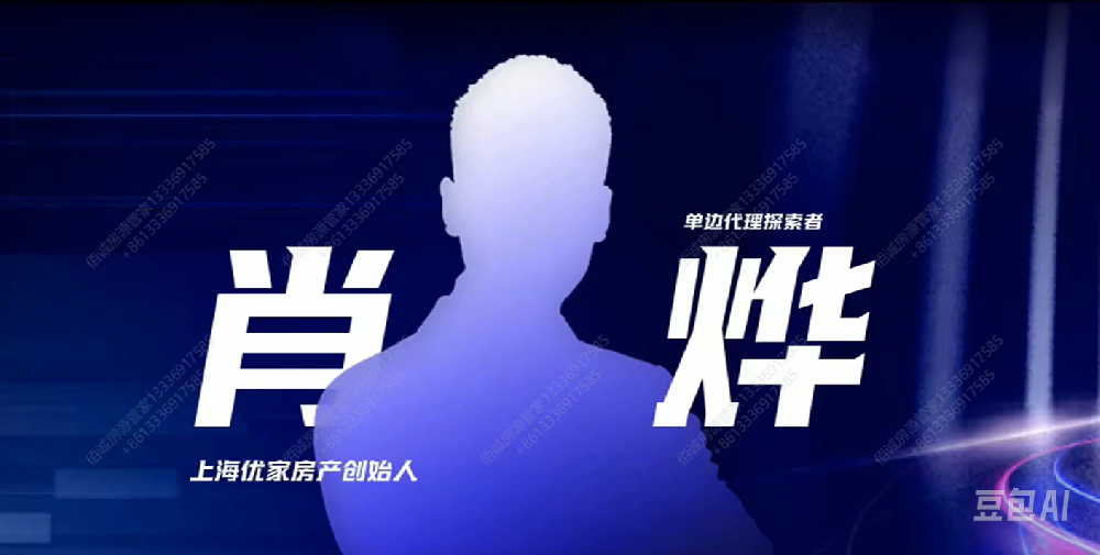 上海单边代理实践模式